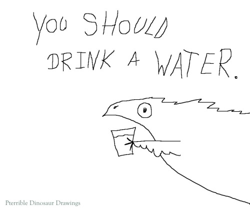 shosta:shittydinosaurdrawings: I am staying hydrated, are You staying hydrated? pterrible dinosaur d