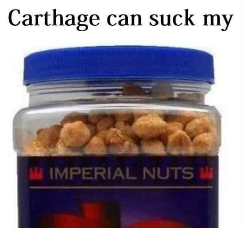 pandoracampbell: Roman Memes IV! I was feeling salty about Carthage today. Kind of how Carthage felt