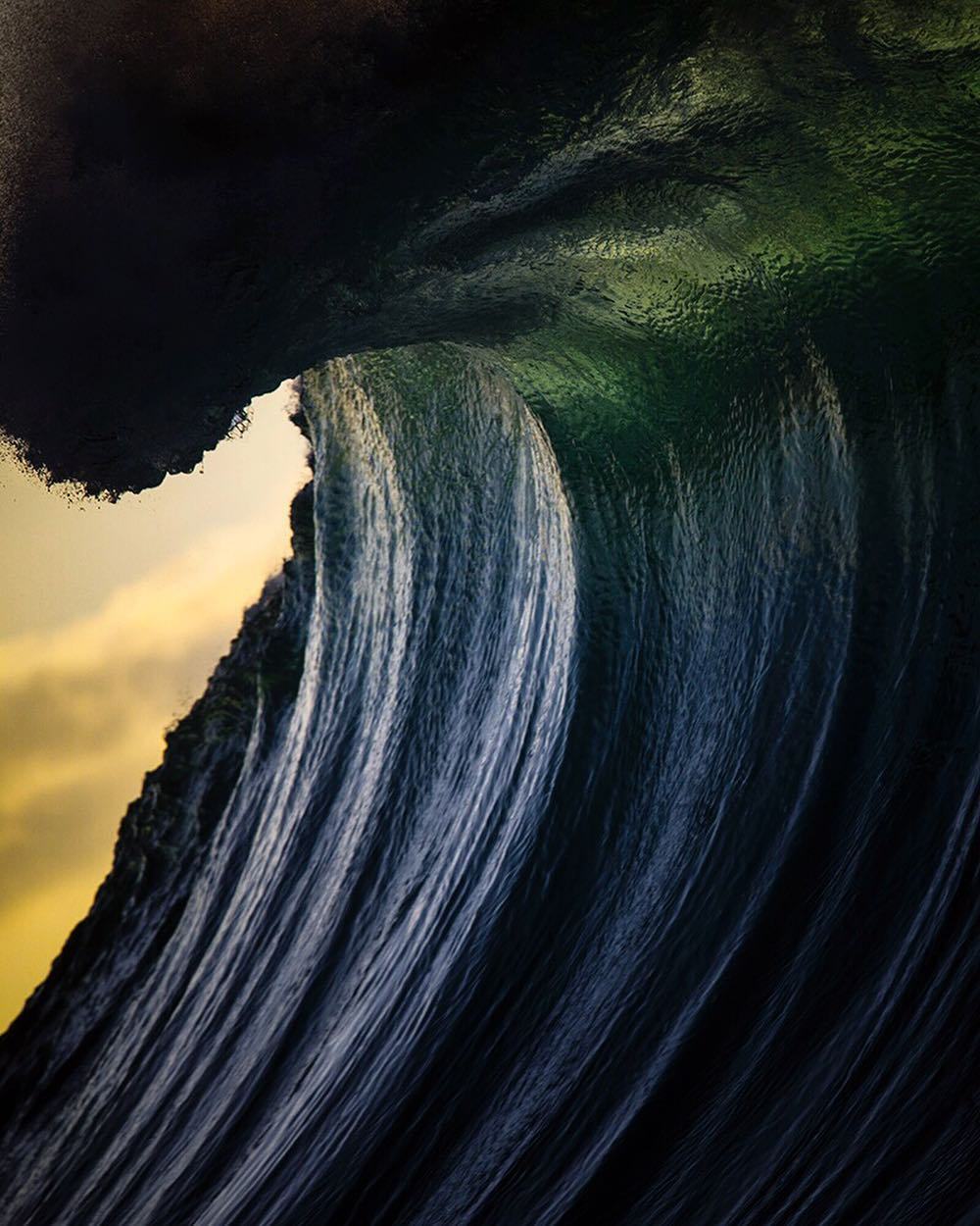 sosuperawesome:  Ray Collins on InstagramFollow So Super Awesome on Instagram 