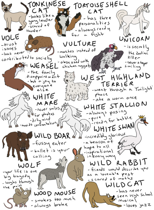 fleamontpotter: click to make bigger!!!  THIS IS SO LONG i’ve literally included every an