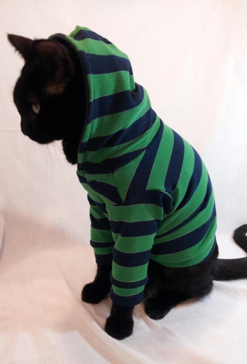 caterville:  It’s All Good in the Hood 