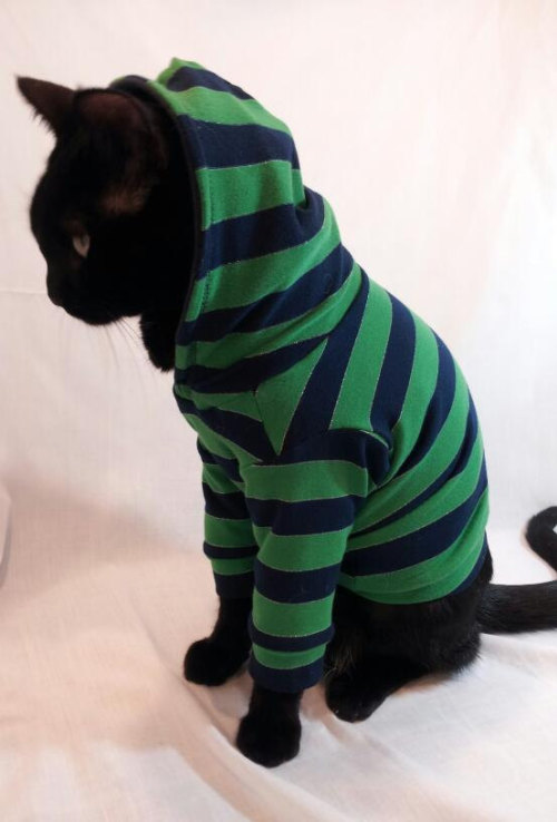 Porn Pics wickedclothes:  Navy / Green Striped Cat