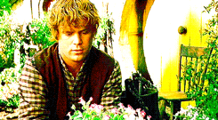 tothless:  LOTR meme: 1 movie 