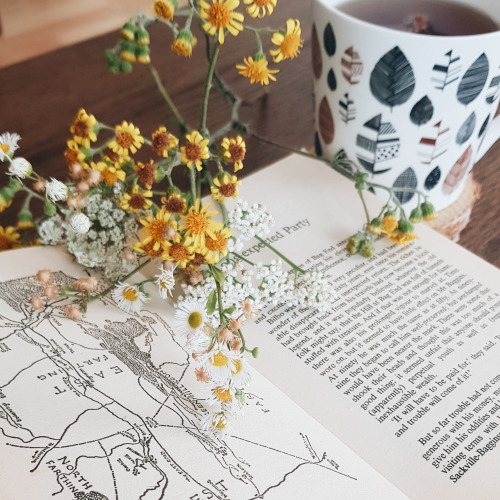 some Tolkien books, wild flowers and teapointyeared