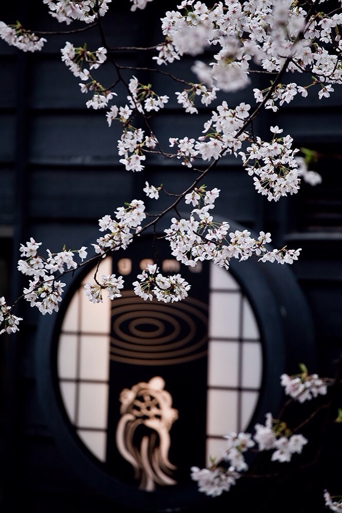 shinjihi:  Beautiful Japan 日本の美しい風景 