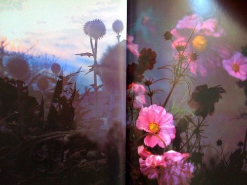 pleoros:Peter Fischli and David Weiss