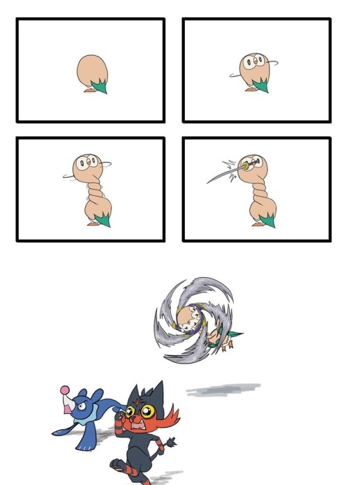 geekfanhumor:  The Rowlet Game Face Is Not One to Be Trifled With 