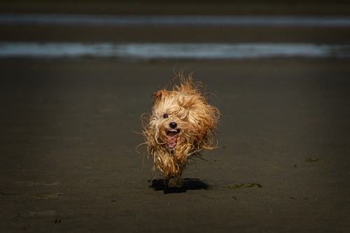 And the final series from Lewis beach adventure. These faces he&rsquo;s making here are too funny n