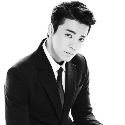  SJM Swing 