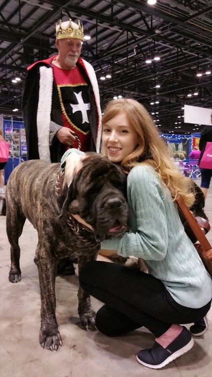 healthcoregoth: dogjpeg: me getting knocked over by the biggest dog I’ve ever met while The Ki