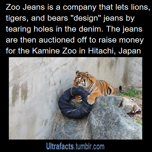 ultrafacts:  lillyg701:  ultrafacts:  Source  If you want more facts, follow Ultrafacts
