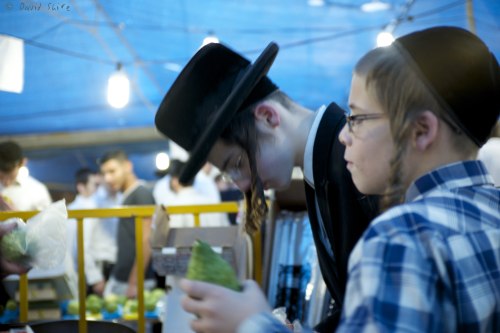 lonetreebeer: Preparing for Succot in Mea Shearim, Jerusalem