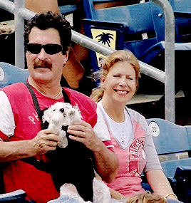 incomparablyme:  Video: Super Chill Dog Hangs Out in Baby Carrier at Baseball Game