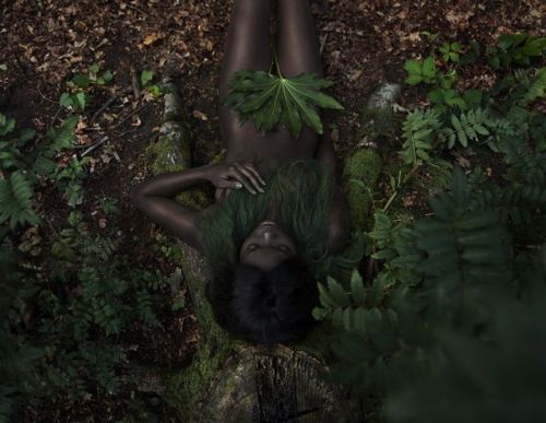 brownsugarmagick: The Green Gallery - Styling Lidewij Smeur,  Photography Sanne van Rozendaal