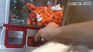 tastefullyoffensive:Bini the Bunny is a crane game pro. [full video] X3