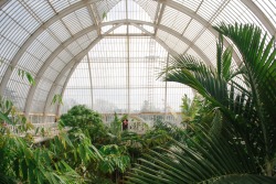 courtneymolyneaux:  Kew Gardens, London 2015