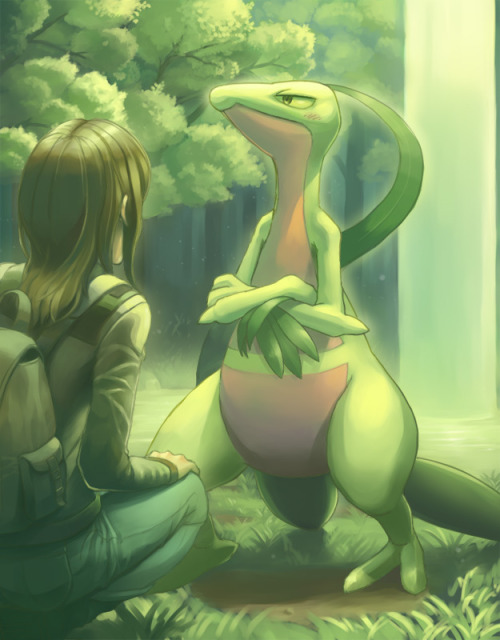 lumiose-museum:  Grovyle 