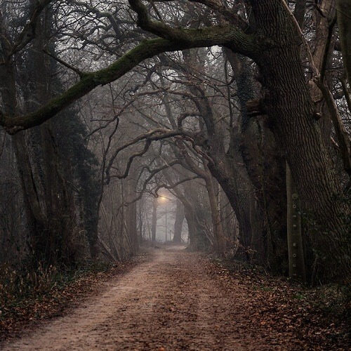 Inside A Fractious Mind