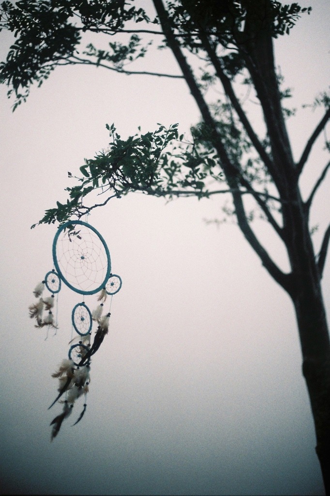 decepticun:  dream | by andrew.nuding
