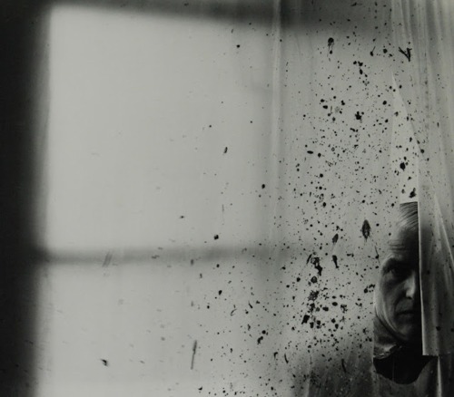 Arnold Newman:   Willem de Kooning/ NYC (1959)   Originally posted by mpdrolet
