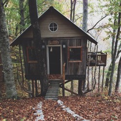 dreamboy1991:  treehauslove:  The Cozy Treehouse.