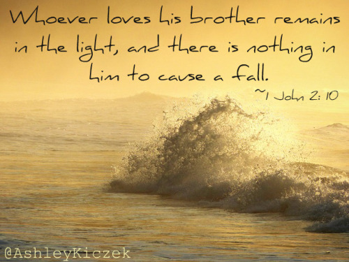 Whoever loves his brother remains in the light, and there is nothing in him to cause a fall. 1 John 