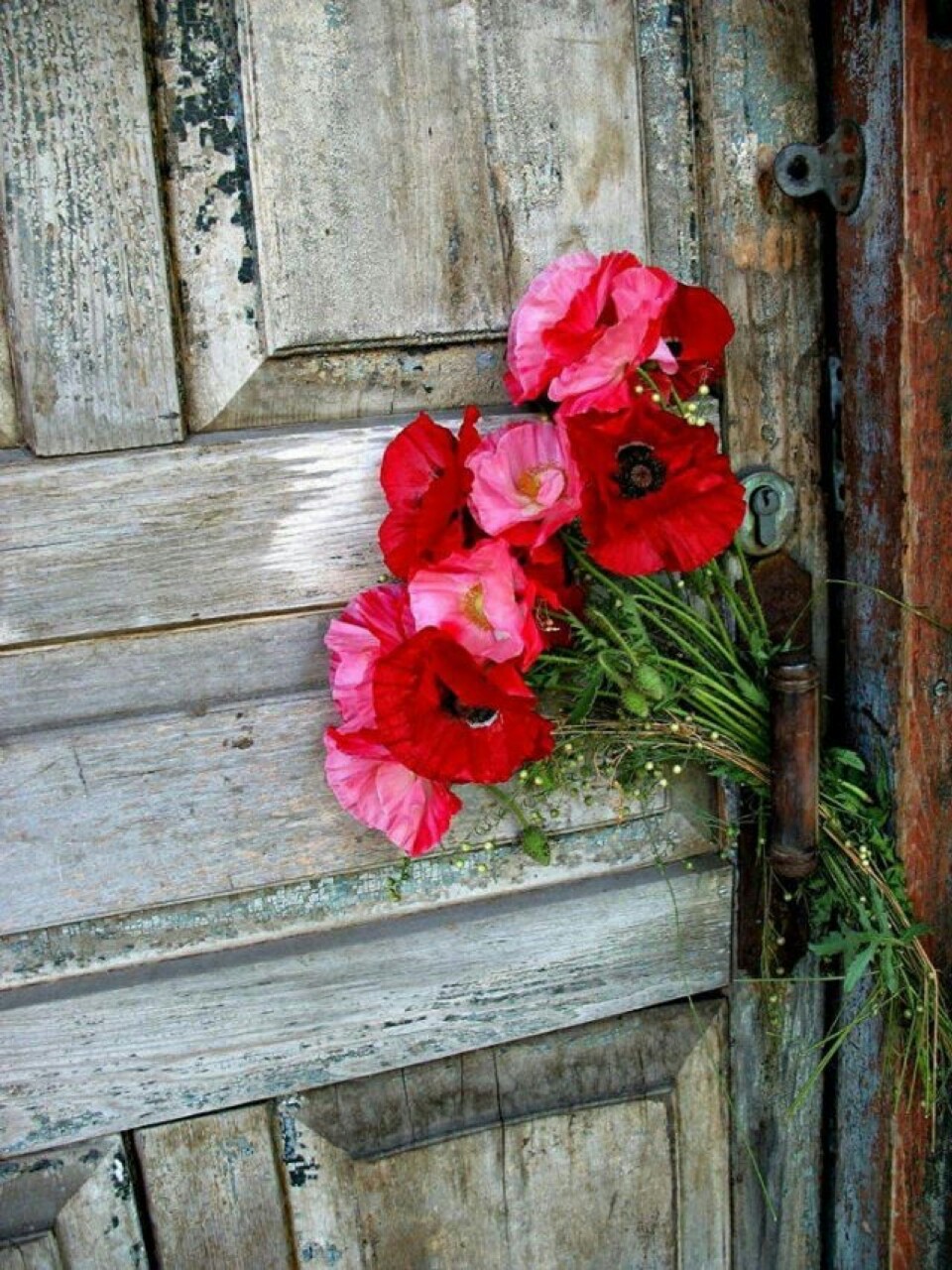 Flores.