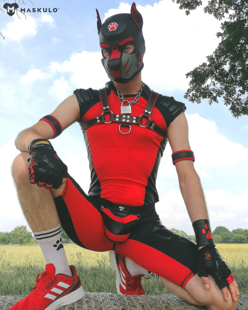 footyshortboy79:maskulo:  Red padded shorts with detachable codpiece will visually enlarge everything a puppy needs ❤️  Get yours at http://amp.gs/FAOq   😜