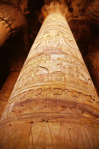 grandegyptianmuseum:Papyrus Column in the Temple of Horus at Edfu.