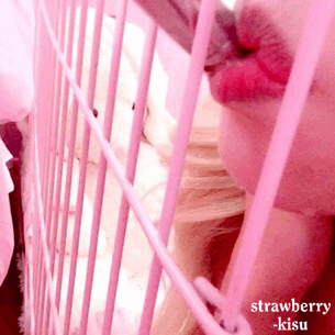 strawberry-kisu:Here is me being forced to “drink up”