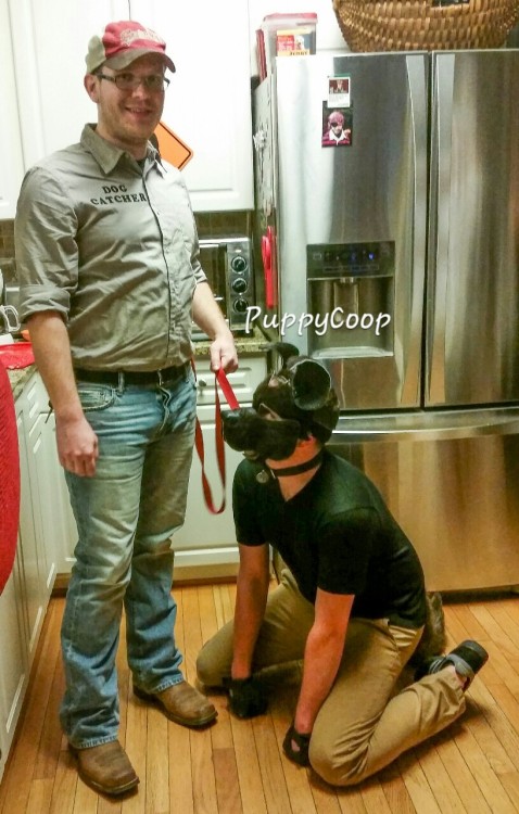 coopthepup:  Happy Halloween!!  Coops first outing in public!  -Master TC