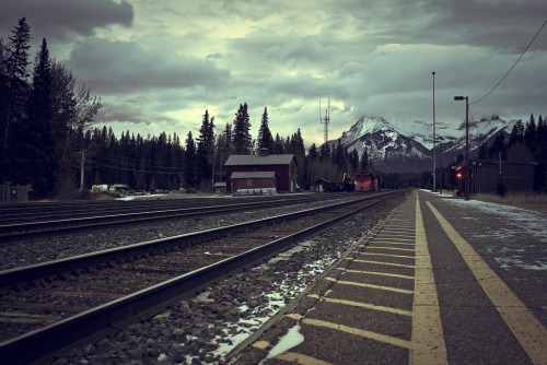 definitelydope:  The Guardian (by philcoffman)