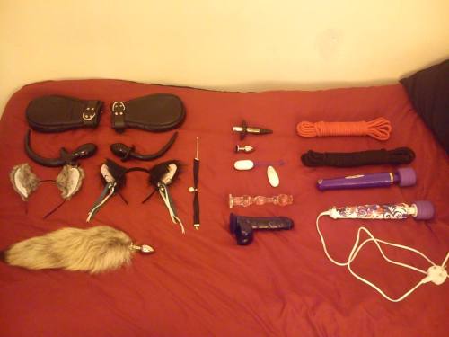 naughtybabygirl69:  submissionandfetishism:  Mine and Little One’s collection. The collection is as follows: 7 x Collars. 4 x pairs of leather cuffs. 1 x Leg spreader bar. 2 x Leashes. 2 x Wartenberg wheels. 4 x Ball gags. 1 x Bit gag. 1 x Muzzle gag.