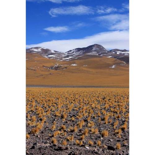 Paisajes aterciopelados (en Ruta de los Seismiles, Catamarca)