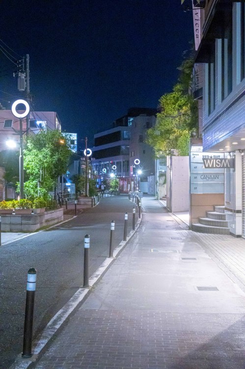 消えた夜のざわめき   The Night Buzz Disappeared：2020 Tokyo(at Shibuya. Jingumae. Omotesando. &amp; A