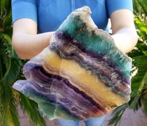 geologyin-blog:Beautiful 7 ¼ inch multi color zoned fluorite crystal slab. Photo: TheC