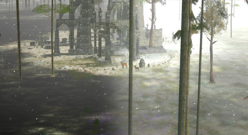 The atmosphere in The Endless Forest can now be changed according to time of day and weather in the 