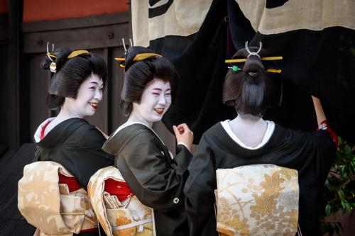 XXX geisha-kai:  Hassaku 2015: geiko Yukako, photo