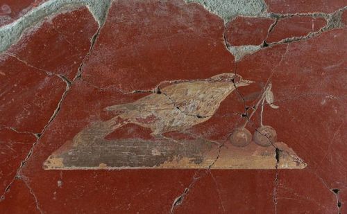 historyfilia:Roman frescoes of birds from Villa Poppaea (Torre Annunziata), Italy