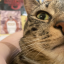 youtube-is-my-muse