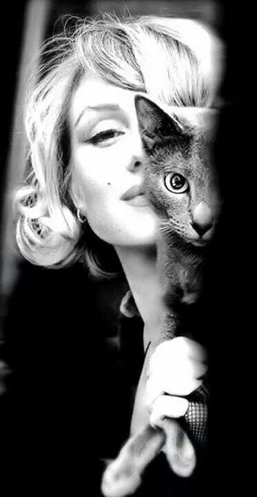 i-am-thefox-deactivated20200224:Marilyn and her feline ❣❣❣❣❣