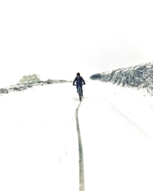 mtbcymru: Main road to Trefeglwys is a little quiet today ❄️❄️❄️ ______________________________ #Wal