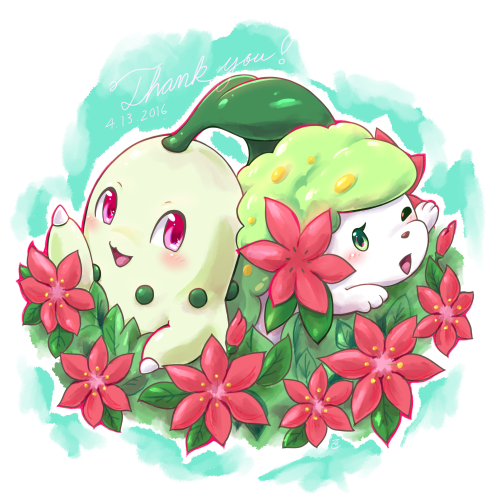 chikoriitaas:シェイミの日！Shaymin day today over here (4/13)And a thank you to all my followers♡\ｼｪｲﾐ/