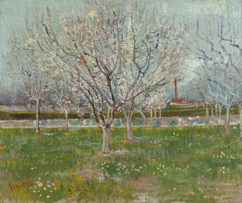 mauveflwrs: Vincent van Gogh - Orchard in Blossom (Plum Trees) (1888)