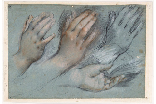 koerperlich:Federico BarocciStudies for the Hands of the Virgin Mary for the Annunciationcharcoal an