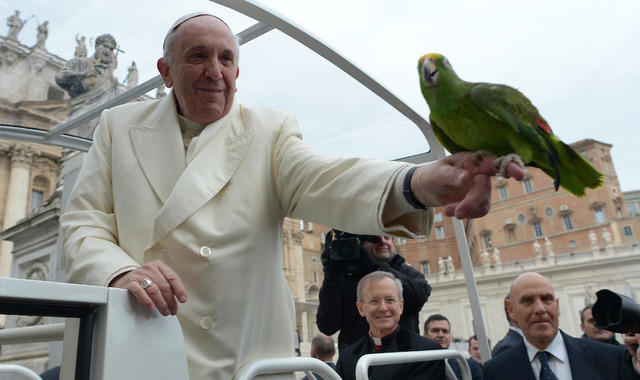 Pope Francis Blesses Porn Actor’s Parrot (via Gawker)