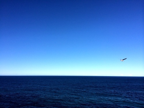 Imagine being a bird, flying, seeing nature’s perfect gradient.