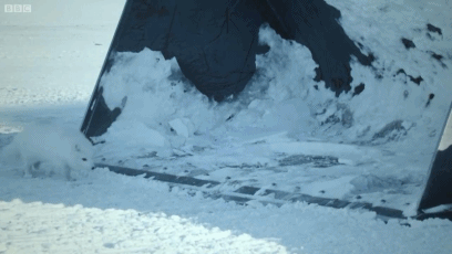 An Arctic Fox gets its tongue stuck on the frozen metal of an Alaskan snow plow while scavenging for