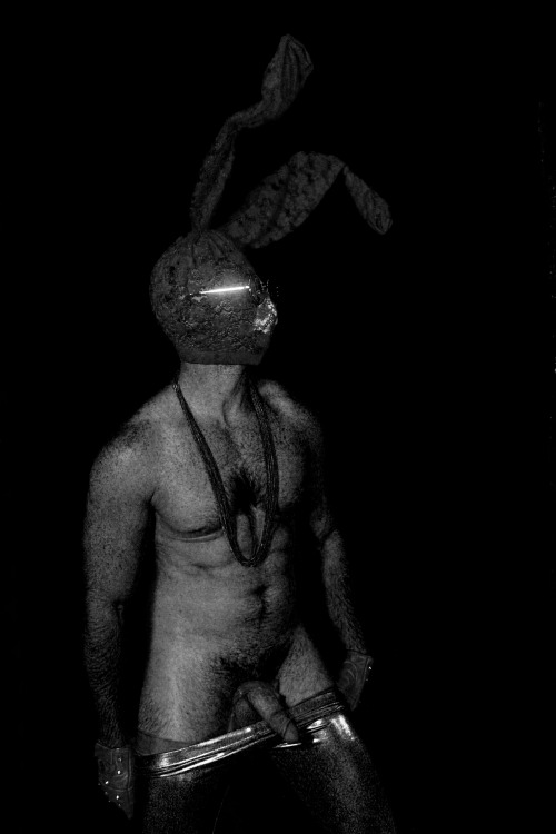 HARE DON’T CARE - ALEXANDER GUERRA 2013