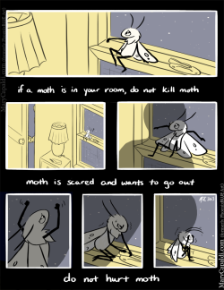 Legendofrii:  Marycapaldi:  Marycapaldi:  Be Kind To Moth A Short Comic Based On